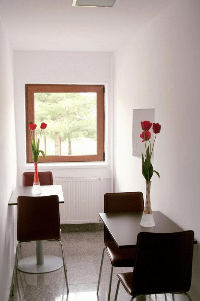 Hotel Timisoara Sannicolau Mare Sînnicolau Mare 外观 照片